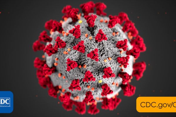 Mas e o coronavírus????